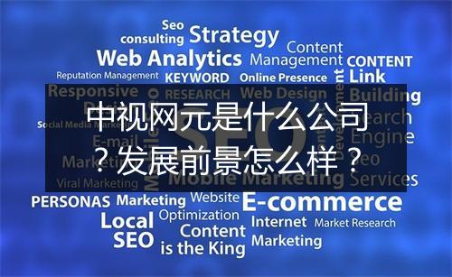 中视网元是什么公司？发展前景怎么样？