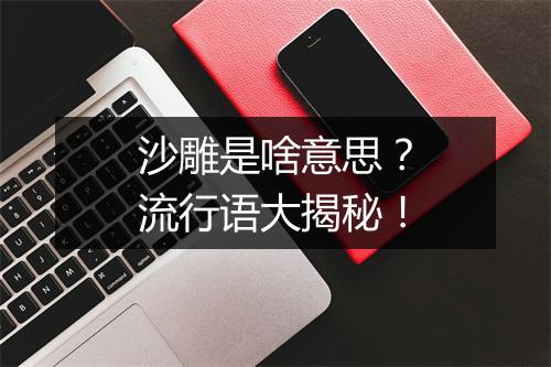 沙雕是啥意思？流行语大揭秘！