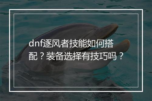 dnf逐风者技能如何搭配？装备选择有技巧吗？