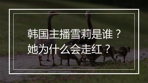 韩国主播雪莉是谁？她为什么会走红？