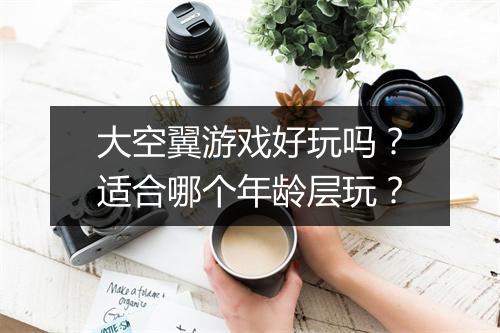 大空翼游戏好玩吗？适合哪个年龄层玩？