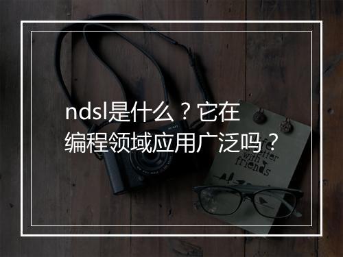 ndsl是什么？它在编程领域应用广泛吗？