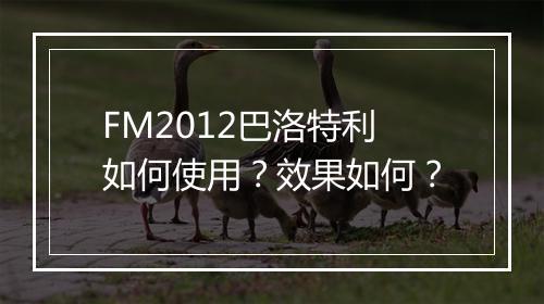 FM2012巴洛特利如何使用？效果如何？