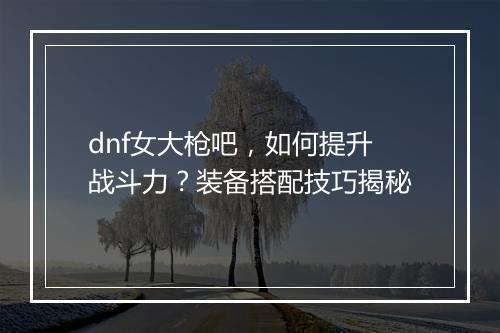 dnf女大枪吧，如何提升战斗力？装备搭配技巧揭秘