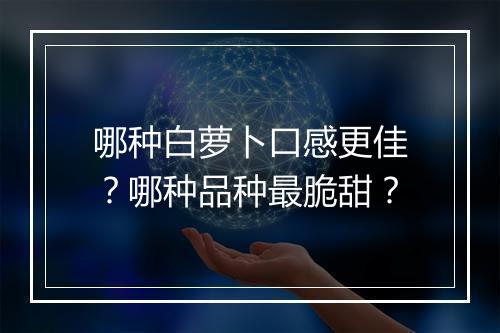 哪种白萝卜口感更佳？哪种品种最脆甜？
