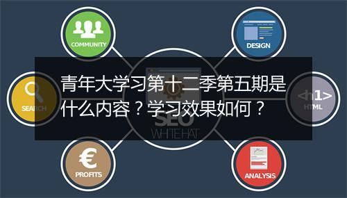 青年大学习第十二季第五期是什么内容？学习效果如何？