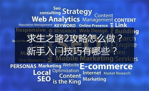 求生之路2攻略怎么做？新手入门技巧有哪些？