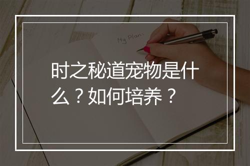 时之秘道宠物是什么？如何培养？