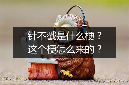 针不戳是什么梗？这个梗怎么来的？