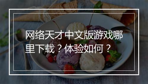 网络天才中文版游戏哪里下载？体验如何？