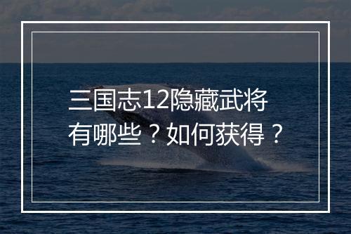 三国志12隐藏武将有哪些？如何获得？