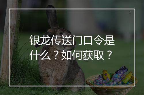 银龙传送门口令是什么？如何获取？