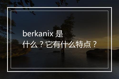 berkanix 是什么？它有什么特点？