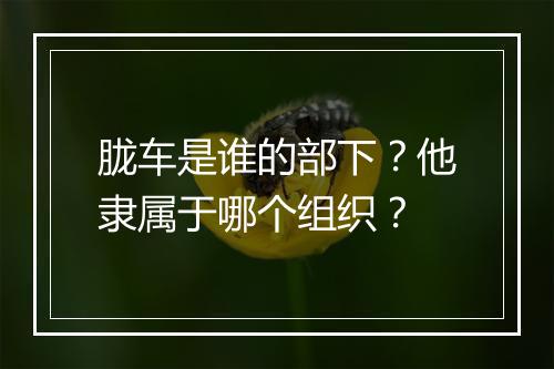 胧车是谁的部下？他隶属于哪个组织？