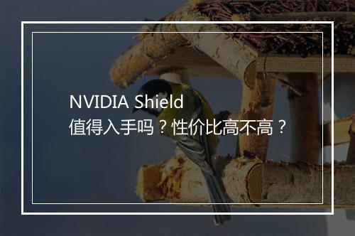 NVIDIA Shield值得入手吗？性价比高不高？