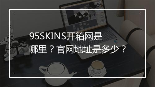 95SKINS开箱网是哪里？官网地址是多少？