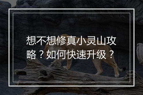 想不想修真小灵山攻略？如何快速升级？