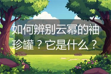 如何辨别云幂的袖珍罐？它是什么？