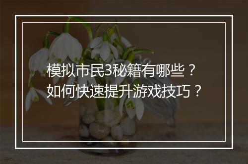 模拟市民3秘籍有哪些？如何快速提升游戏技巧？