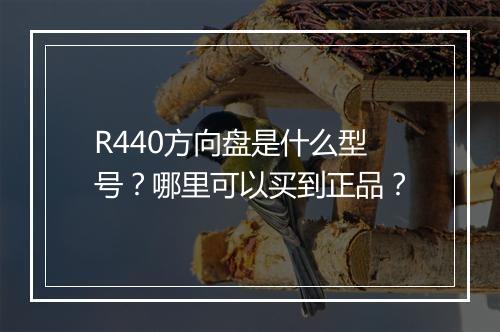 R440方向盘是什么型号？哪里可以买到正品？