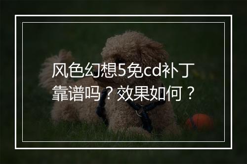风色幻想5免cd补丁靠谱吗？效果如何？