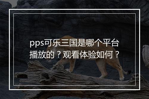 pps可乐三国是哪个平台播放的？观看体验如何？