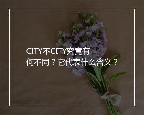 CITY不CITY究竟有何不同？它代表什么含义？