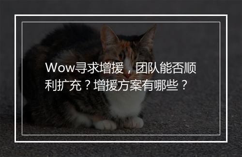 Wow寻求增援，团队能否顺利扩充？增援方案有哪些？