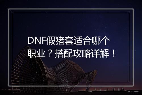 DNF假猪套适合哪个职业？搭配攻略详解！