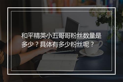 和平精英小五哥哥粉丝数量是多少？具体有多少粉丝呢？