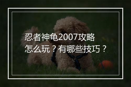 忍者神龟2007攻略怎么玩？有哪些技巧？