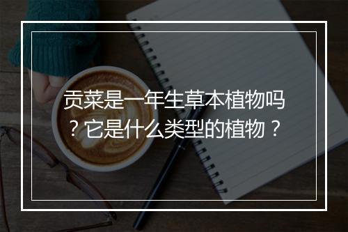 贡菜是一年生草本植物吗？它是什么类型的植物？