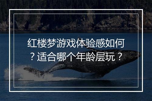 红楼梦游戏体验感如何？适合哪个年龄层玩？