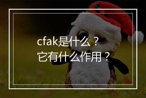 cfak是什么？它有什么作用？
