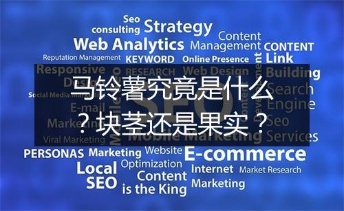 马铃薯究竟是什么？块茎还是果实？