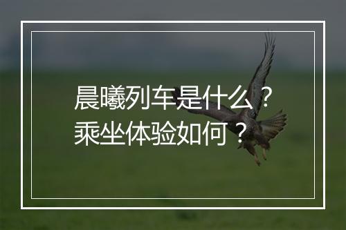 晨曦列车是什么？乘坐体验如何？