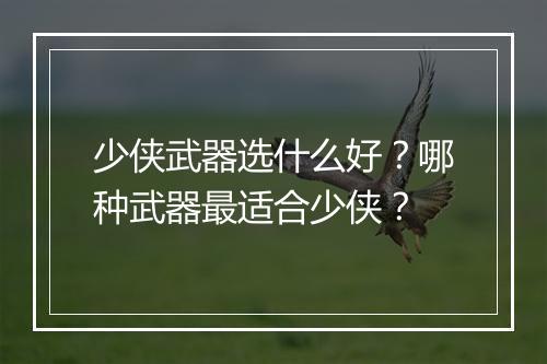 少侠武器选什么好？哪种武器最适合少侠？