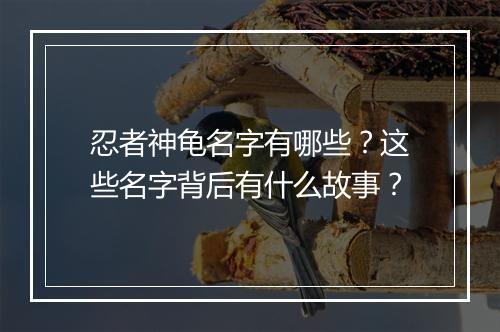 忍者神龟名字有哪些？这些名字背后有什么故事？