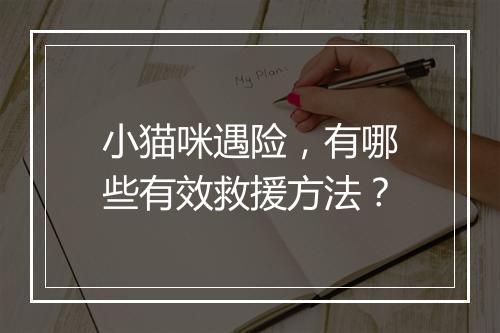 小猫咪遇险，有哪些有效救援方法？