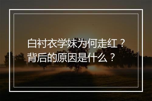 白衬衣学妹为何走红？背后的原因是什么？