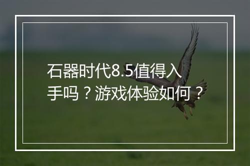 石器时代8.5值得入手吗？游戏体验如何？