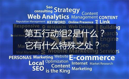 第五行动组2是什么？它有什么特殊之处？