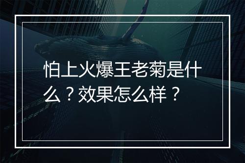怕上火爆王老菊是什么？效果怎么样？