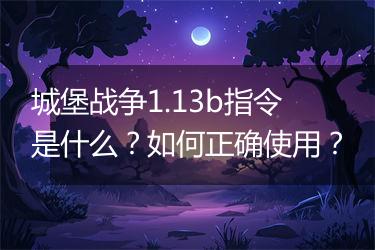 城堡战争1.13b指令是什么？如何正确使用？