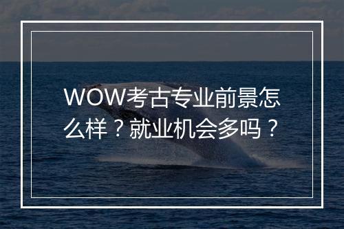 WOW考古专业前景怎么样？就业机会多吗？
