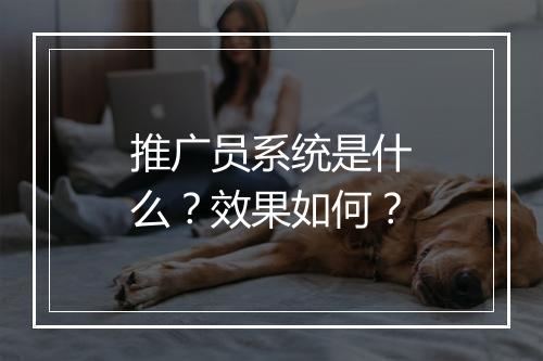推广员系统是什么？效果如何？