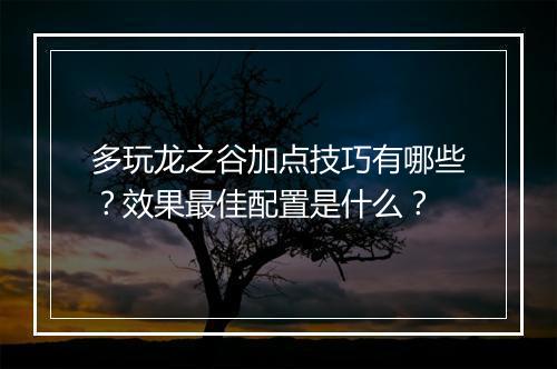 多玩龙之谷加点技巧有哪些？效果最佳配置是什么？