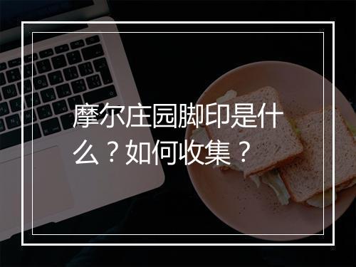 摩尔庄园脚印是什么？如何收集？