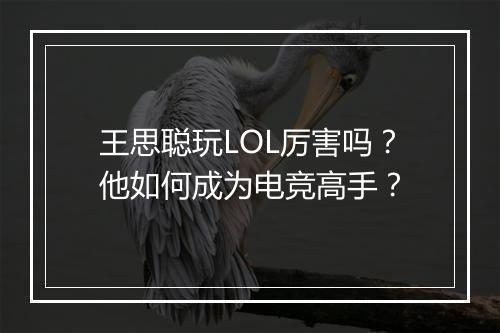 王思聪玩LOL厉害吗？他如何成为电竞高手？