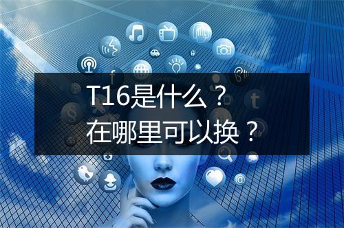 T16是什么？在哪里可以换？